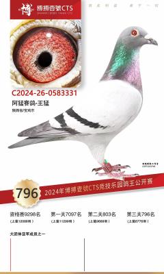 2024�격��Ҽ��796��