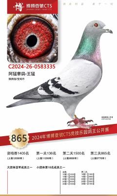 2024�격��Ҽ��865��