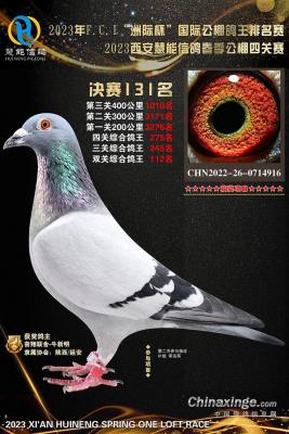 2023���ܴ���131��