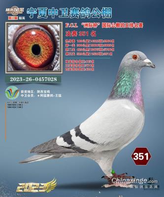 2023����������351��