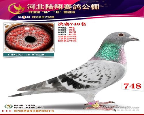 �����Ÿ�*����