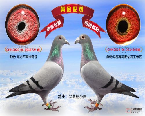 �ٶ�֮����