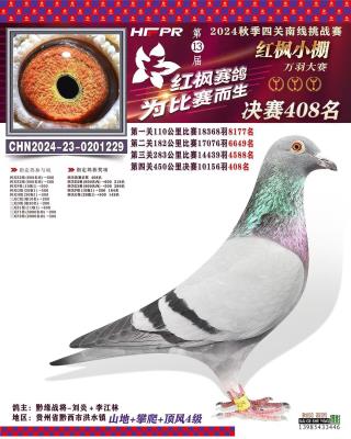 ���  ɣ��ʿ