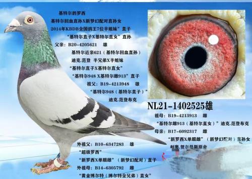 ���ǲ���6662�ĸ���