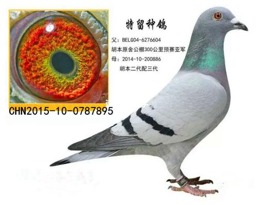 ��������895