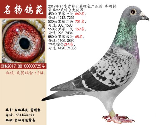 �������ᡤ214