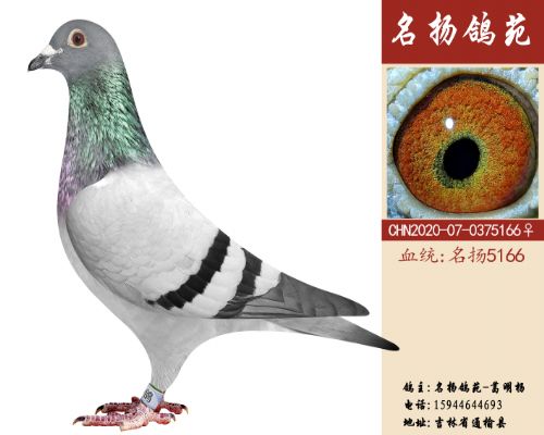 ������5166��