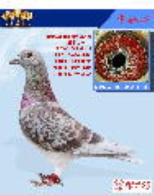 ���־��