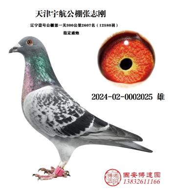 ���־��