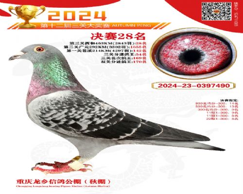 ��Ѫ��������-���繫�����28��