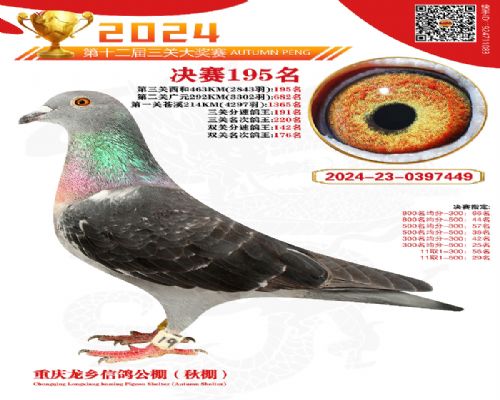 ��Ѫ�����������繫�����195��