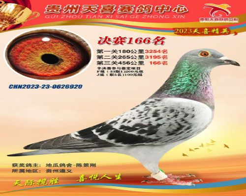 ��Ѫ��������VSղɭ���651��ϲ�������166��