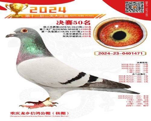 ��Ѫ��������VSղɭ019
���繫�����50��