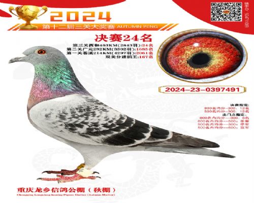 ��Ѫ�����������繫�����24��