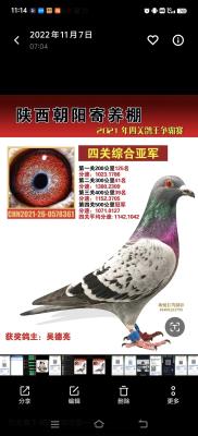 ����ĸ���