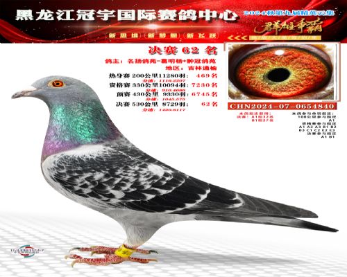 ���ҽ�����062