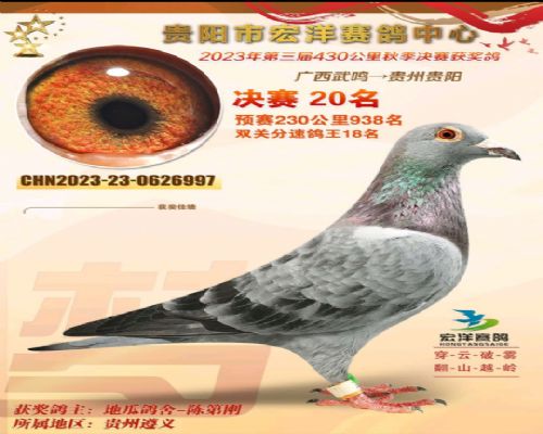 ��Ѫ��������VSղɭ019���������20��