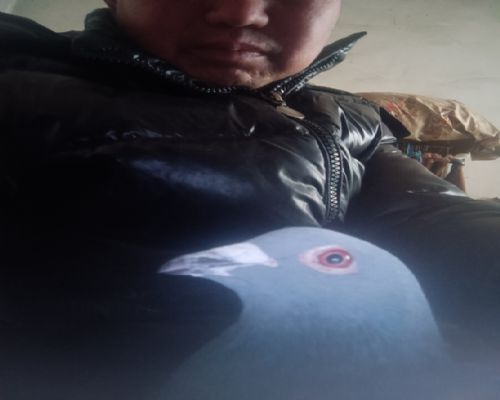 δ����