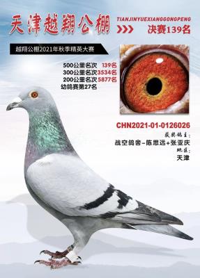 ���Խ�蹫�����139��