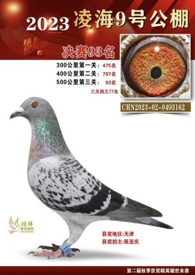 �躣�źŹ������ظ���77��