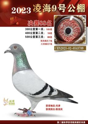�躣�źŹ������ظ���7��