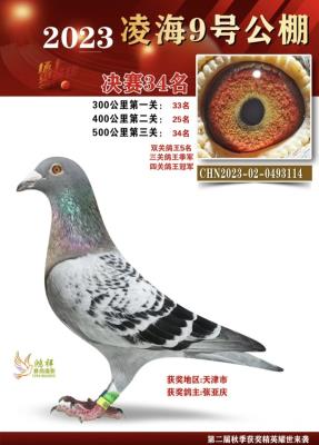 �躣�źŹ����Ĺظ����ھ�