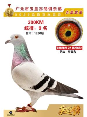 2024������