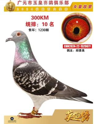 2024������