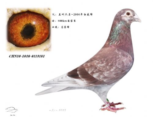 ����ۣ���������ֱ�ӣ�