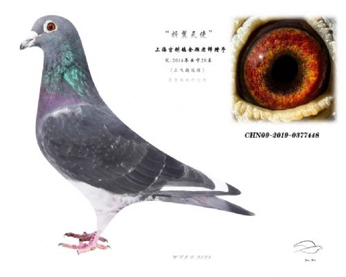 �����ô�