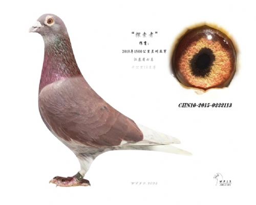 �����Ǿ�����