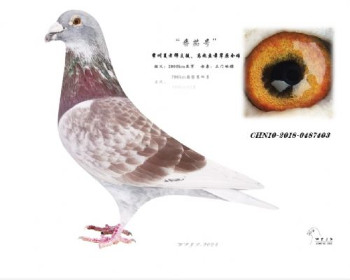 ����ۣ�������ǰ��ԭ��)