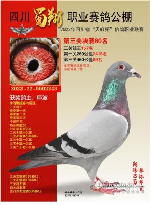 �����ָ�