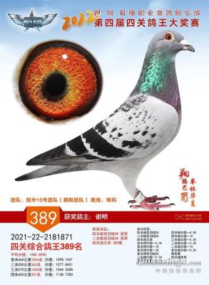 �����ָ�