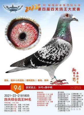 �����ָ�