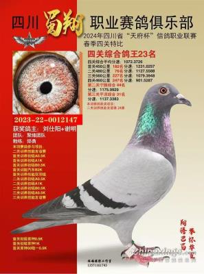 �����ָ�