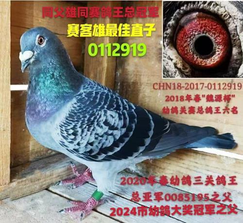 ���������ֱ��2919