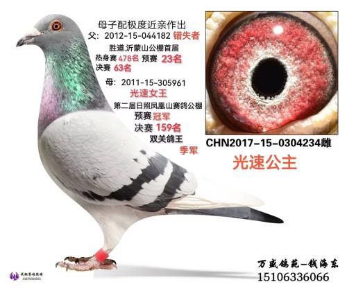 ���ٹ���