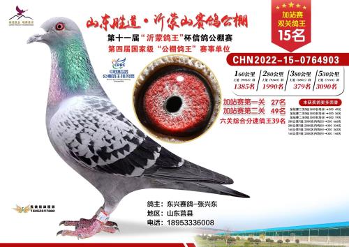 ʤ��˫��ʮ��