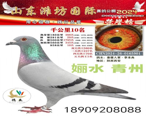 ��ˮ  ����  