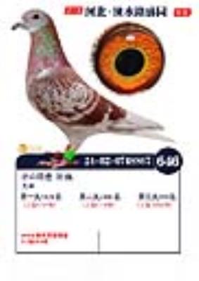 ����ֱ���646