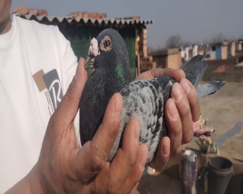 ������˿�