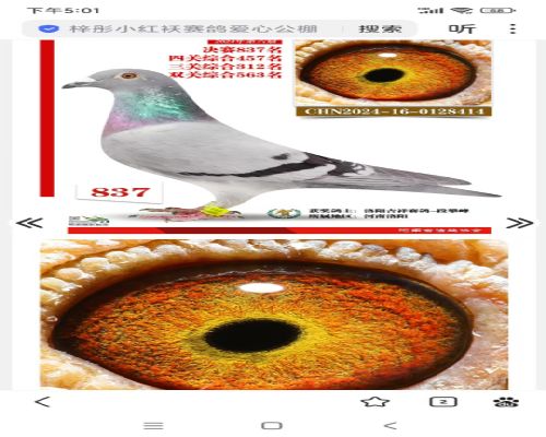 ��վ��32��������837��