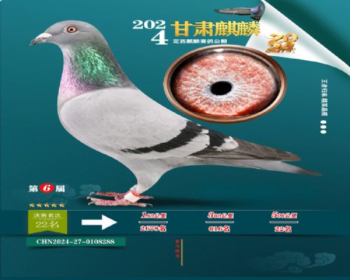 Ӣ��˹�Ӵ�22��