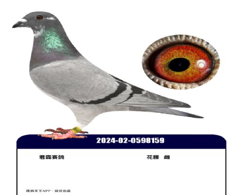 �����ִ�