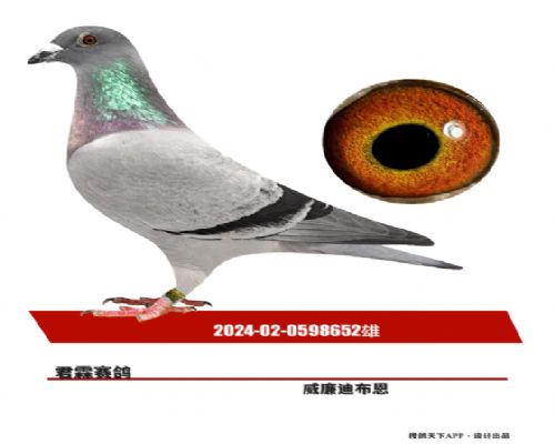 �����ϲ�����