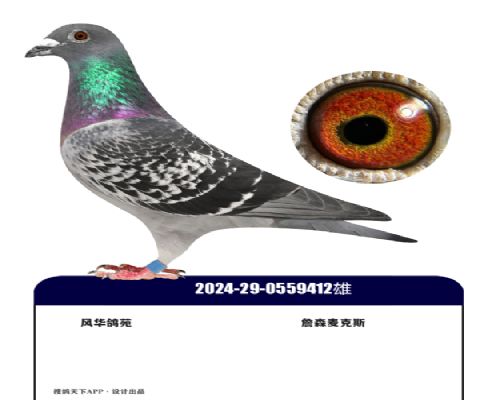 ���������˹