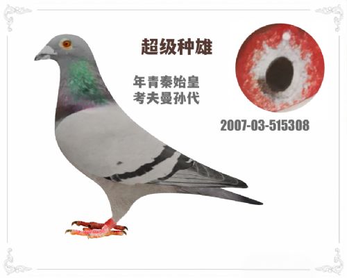 ���������۱����������