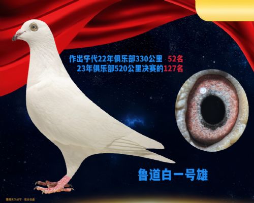 ³��������