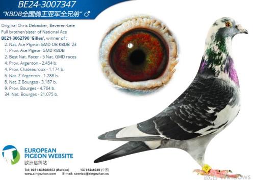 KBDBȫ���Ǿ�ȫ��